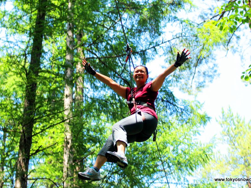 Forest Zipline Adventure}