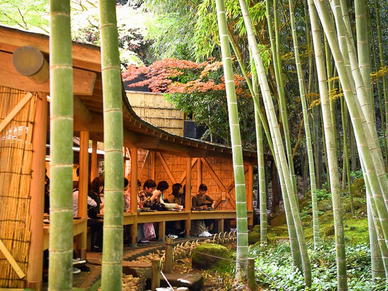 Kamakura & Enoshima Cycling Tour}