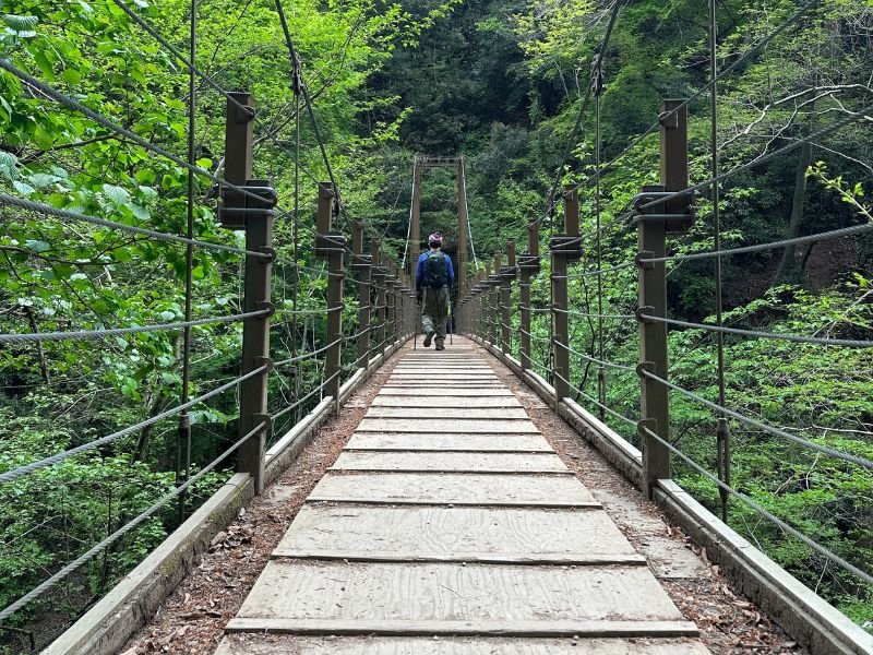 Mt Takao Hike}