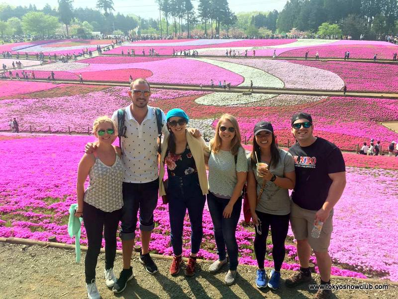 Nagatoro Shibazakura Fest & Traditional Rafting}