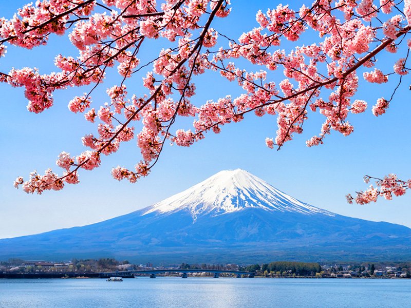 Fuji Lakes & Wineries}