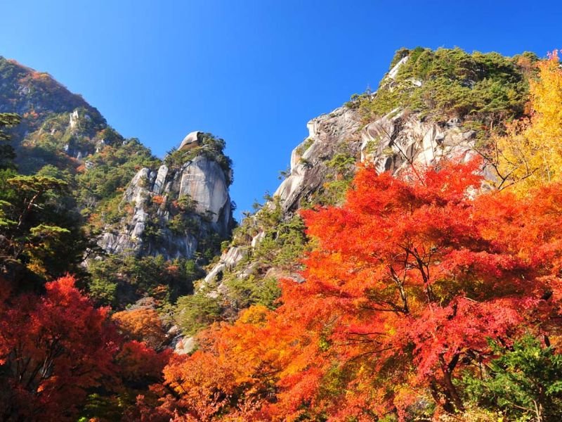 Shosenkyo Gorge Fall Colors Walk & Winery Tour}