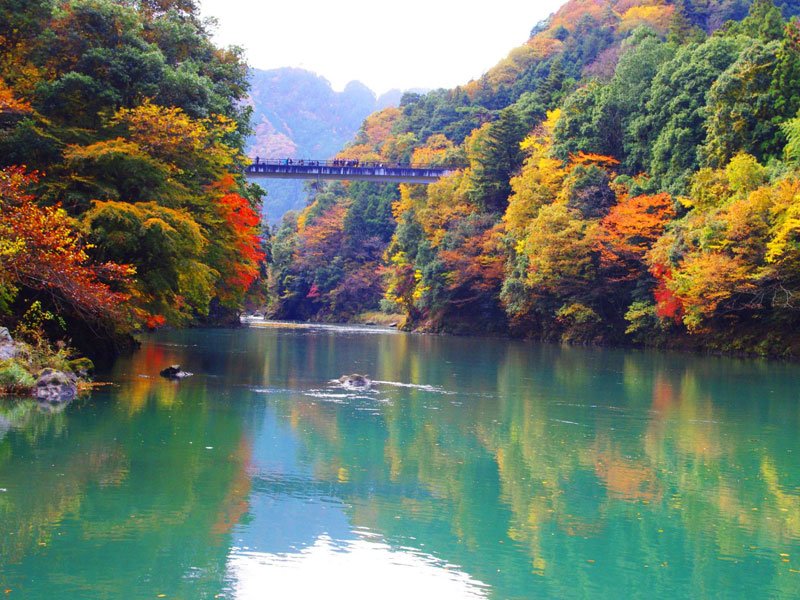 Autumn Color Kayaking}