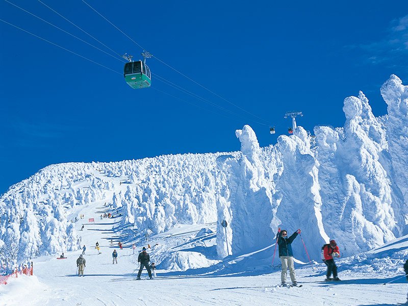 Zao Onsen Snow Monsters}